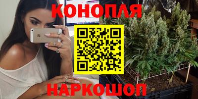 гидра Аргун