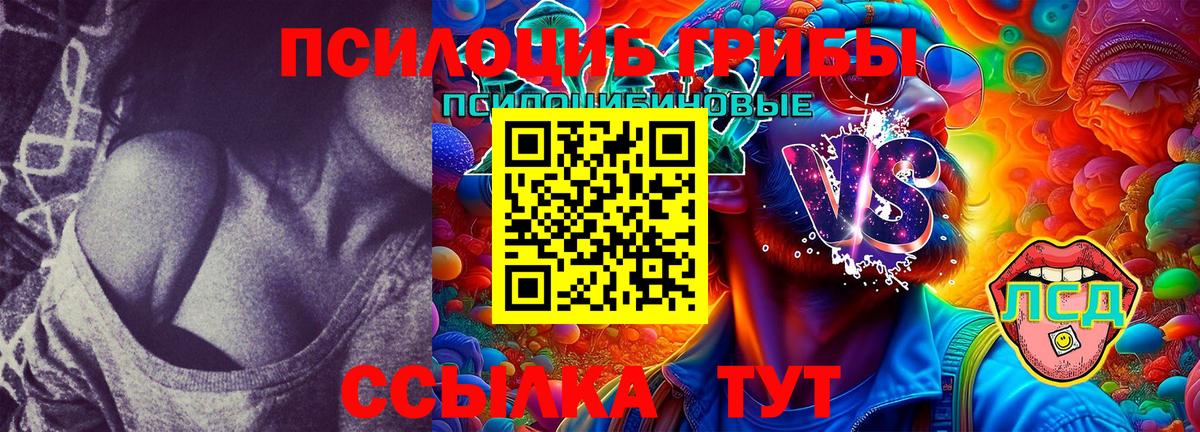 Псилоцибиновые грибы Magic Shrooms Великие Луки