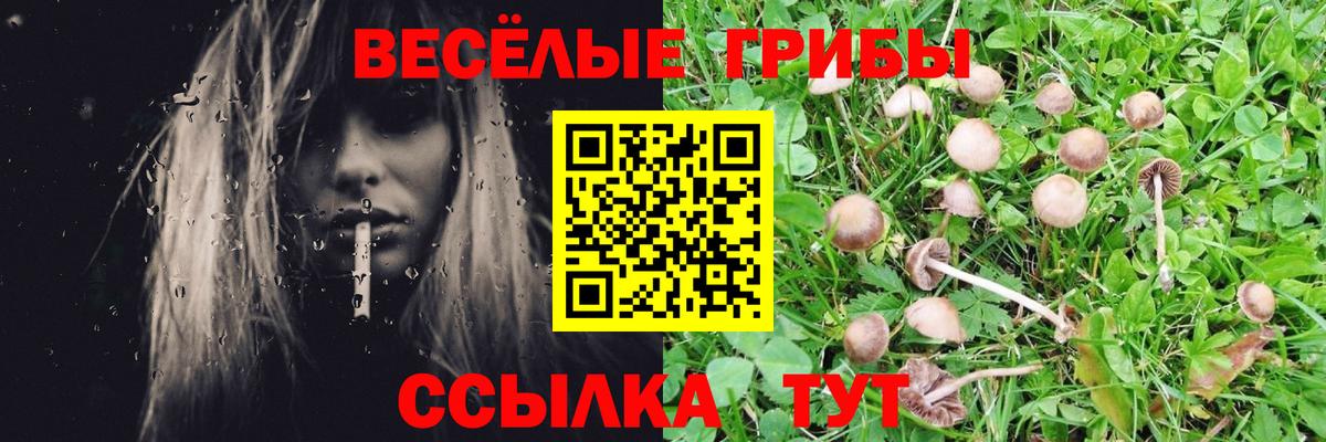 Великие Луки  Псилоцибиновые грибы ЛСД  цена   Вход с VPN  Псилоцибиновые грибы MAGIC MUSHROOMS 